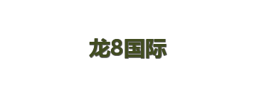 龙8国际