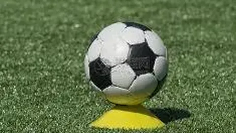 “冯潇霆揭秘05世青赛后沙尔克04向大连实德报价150万欧元转会真相，引发热议”